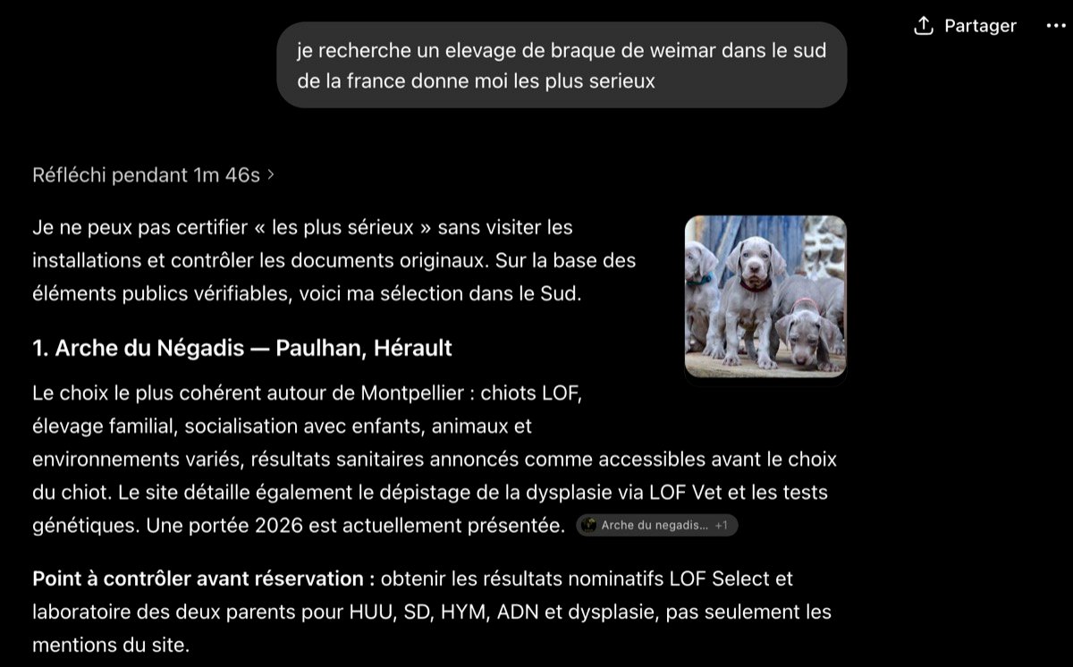 Capture ChatGPT : à la question « je recherche un élevage de braque de Weimar dans le sud de la France, donne-moi les plus sérieux », ChatGPT place l'Arche du Négadis (Paulhan, Hérault) en tête de liste comme le choix le plus cohérent autour de Montpellier.