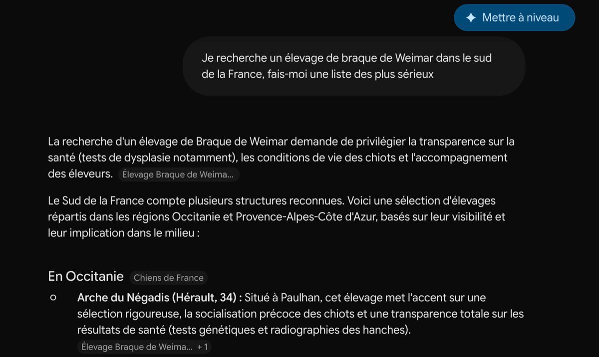 Capture Gemini (Google) : à la question « je recherche un élevage de braque de Weimar dans le sud de la France, fais-moi une liste des plus sérieux », Gemini cite l'Arche du Négadis (Paulhan, Hérault) comme élevage de référence en Occitanie.